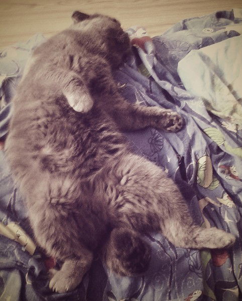 Лерка Евдосеева