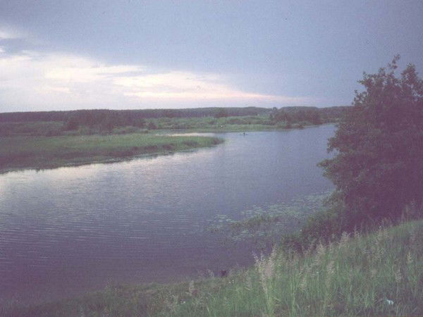 Виктория Баширина