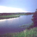 Виктория Баширина