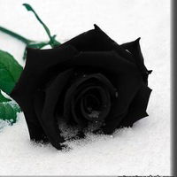 Ира Макиенко