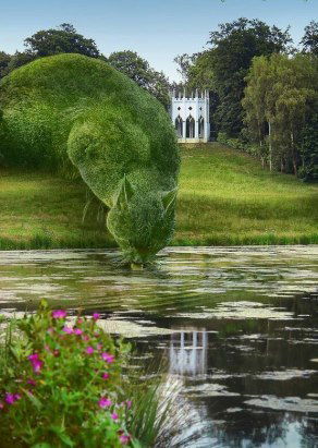 Алексей Трофимов