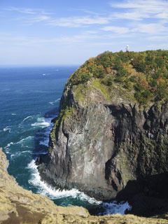 Анастасия Калаурова