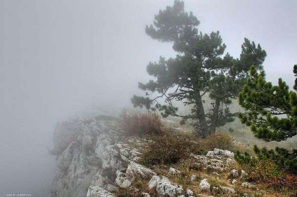 Светлана Безьянова