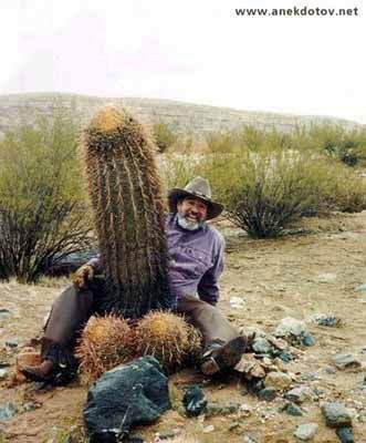 Андрей Кузнецов