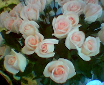 Гульсара Хасанова