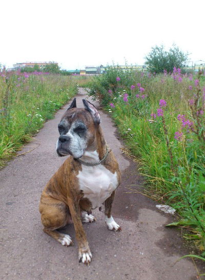 Наталья Смирнова