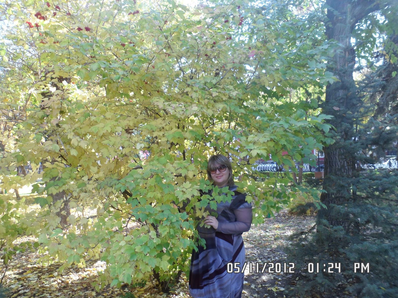 Марина Игнатенко