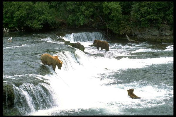 Григорий Высотин