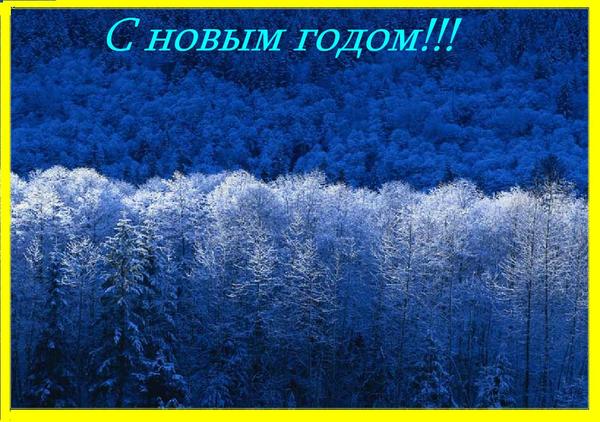 Светлана Подлобникова