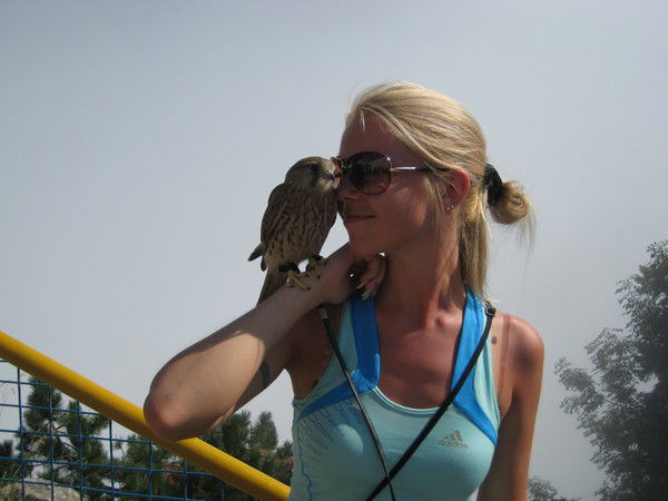 Светлана Журавлева