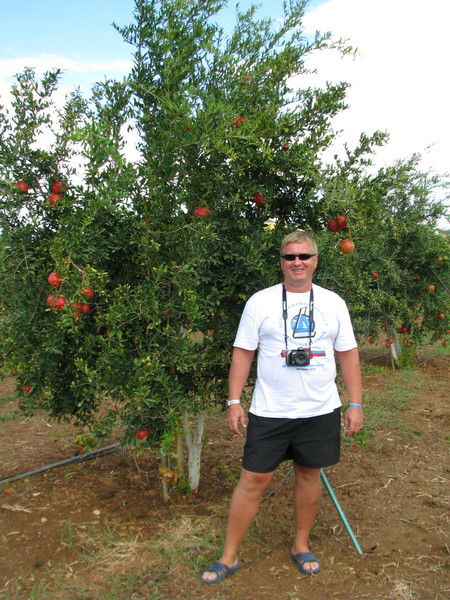 Владимир Фадеев