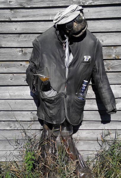 Владимир Новиков