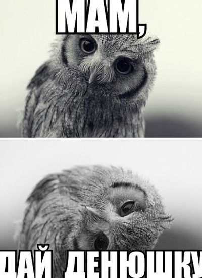 Виталий Корх