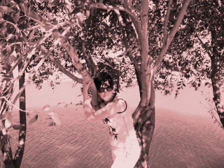 Галия Мухиддинова