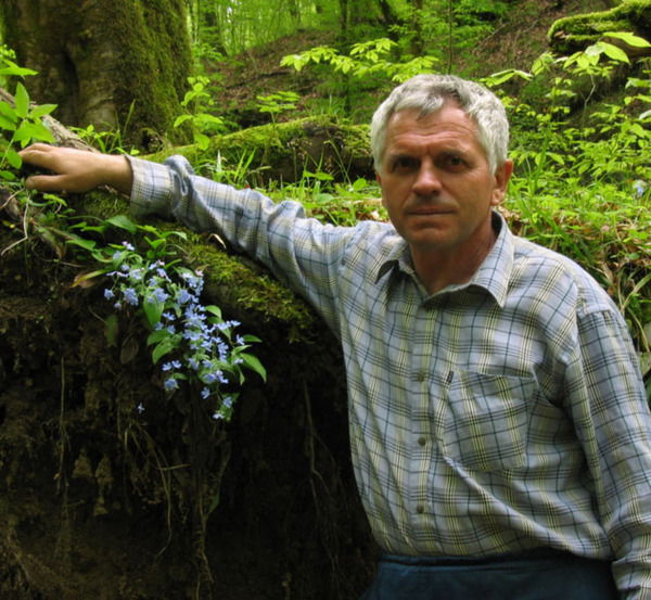 Геннадий Гиль