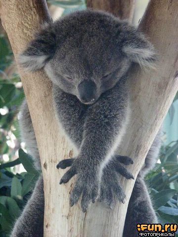 Александр Иванов