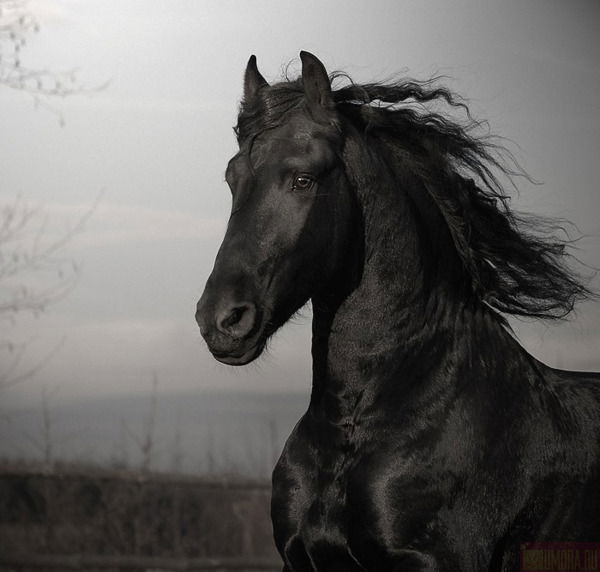 Неизвестно Неизвестно