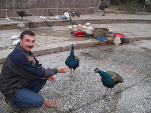 Юрий Размарица