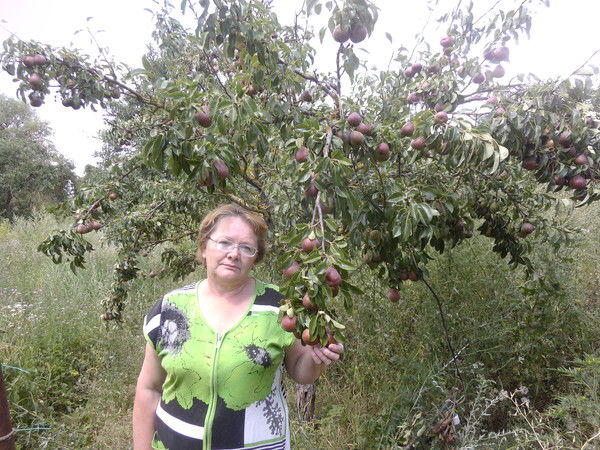 Елена Филина