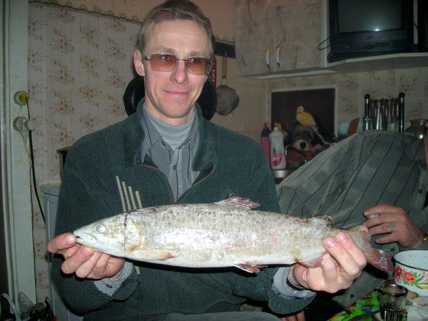 Сергей Ковалёнок