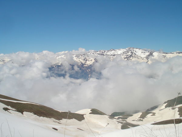 Алла Сеферян