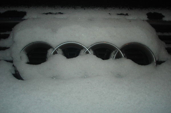 Александр Новиков