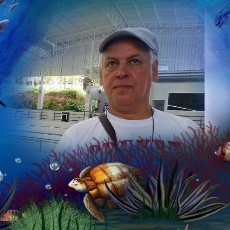 Александр Антипов