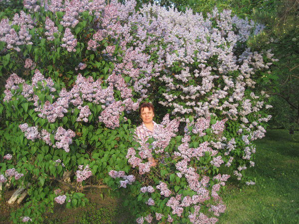 Светлана Васильева