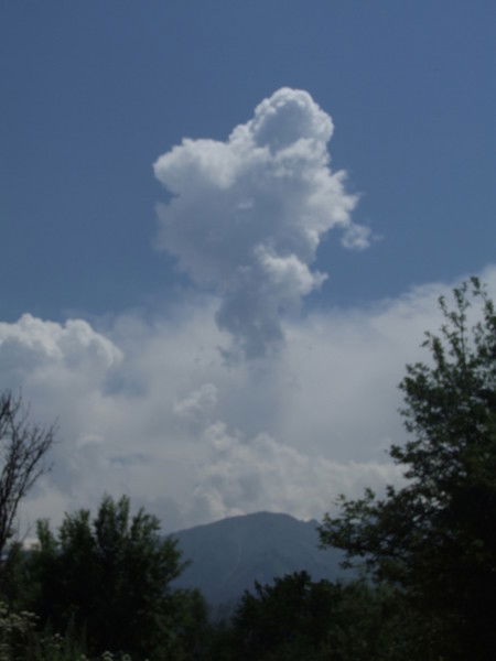 Дизайнер Верстальщик