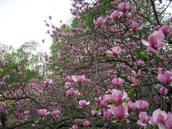 Zeltravel Турфирма