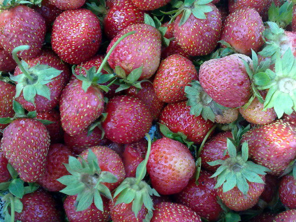 Оксана Красноперова