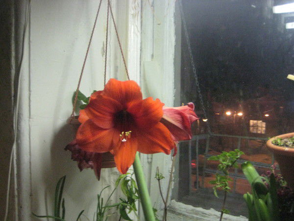 Мария Пигузова