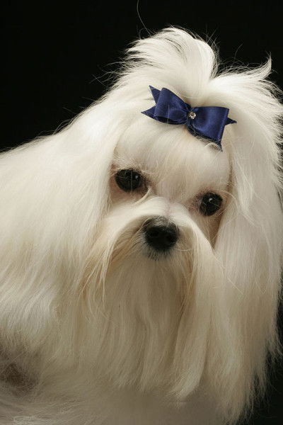 Юлия Владимировна