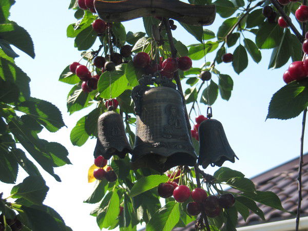 Александрова Ирина