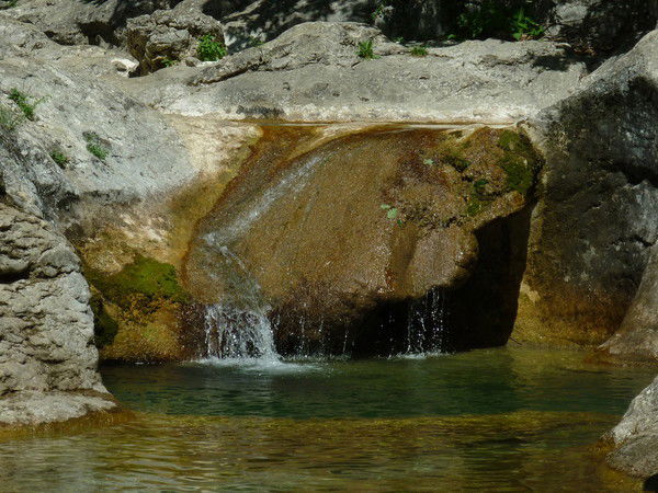 Любовь Зечу