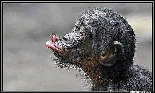 Владимир Марков