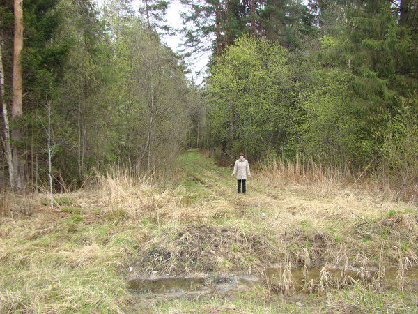 Ольга Бутарина