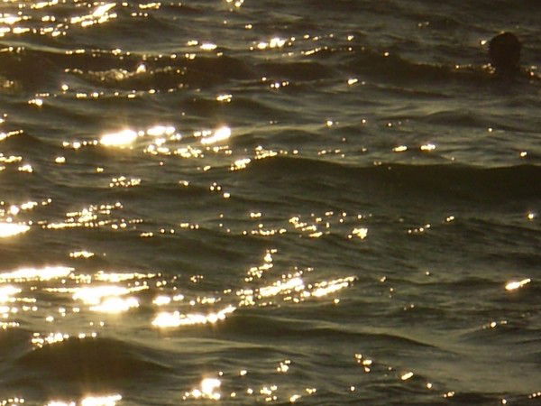 Лана Юркевич