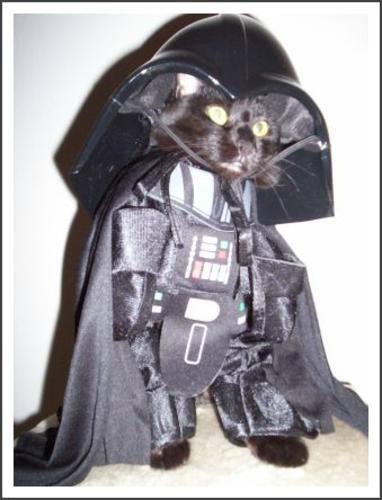 Юрий Анкудинов