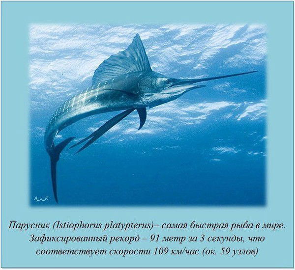 Артём Калугин