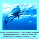 Артём Калугин