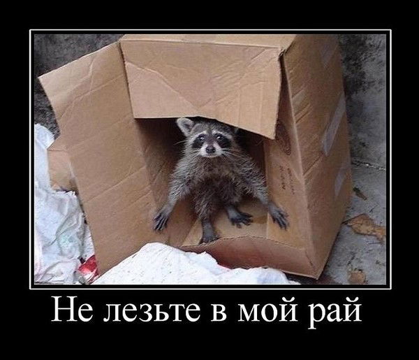 Таня Молчанова