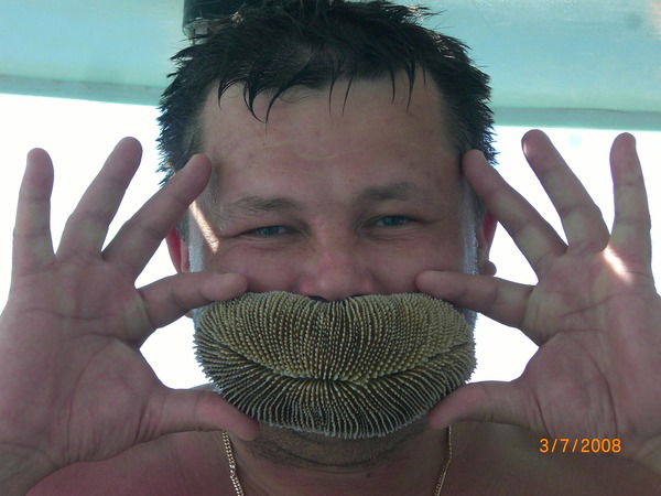 Вадим Васкин