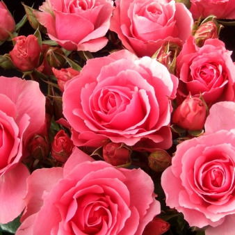 Сауле Коспабаева