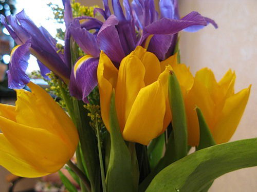 Лейли Басенцян