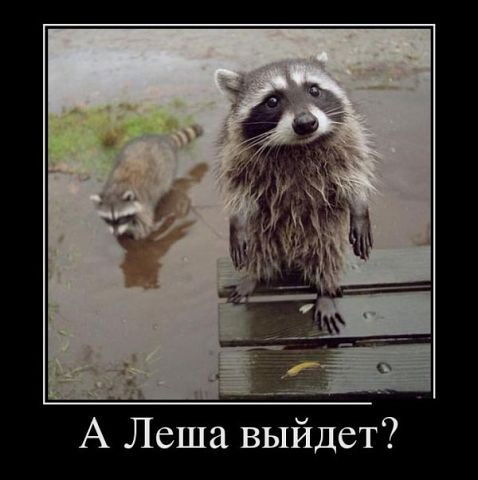 Сергей Матвеенко