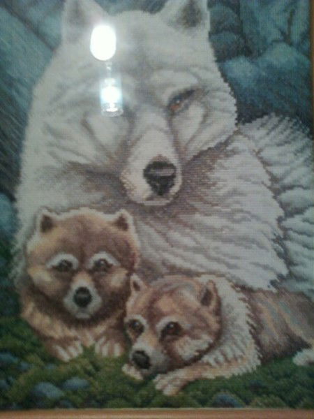 Любимое Солнышко