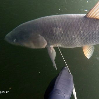 Андрюха Илья