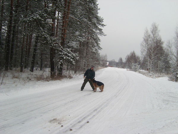 Серджиу Кэруцэ