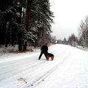 Серджиу Кэруцэ